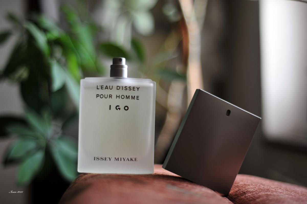 Issey Miyake L'eau D'issey pours Homme