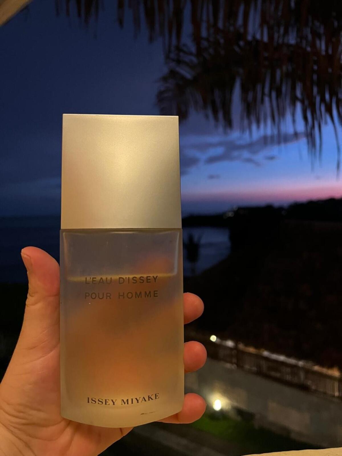 Issey Miyake L'eau D'issey pours Homme